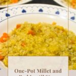Pinterest image with one photo of millet and lentil stew and a caption reading "one-pot millet and red lentil stew".